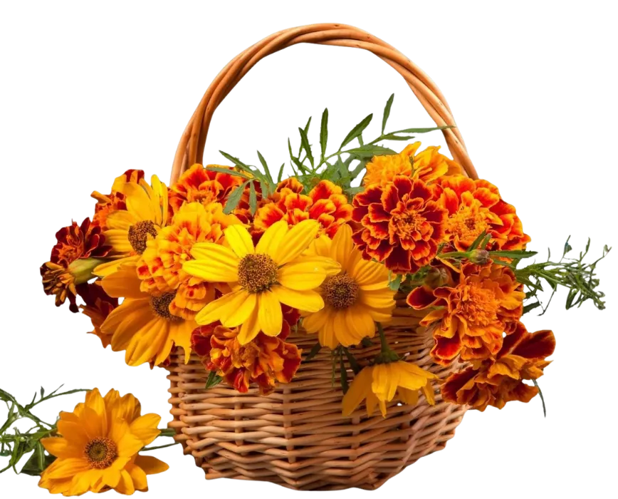 Fresh Flowers