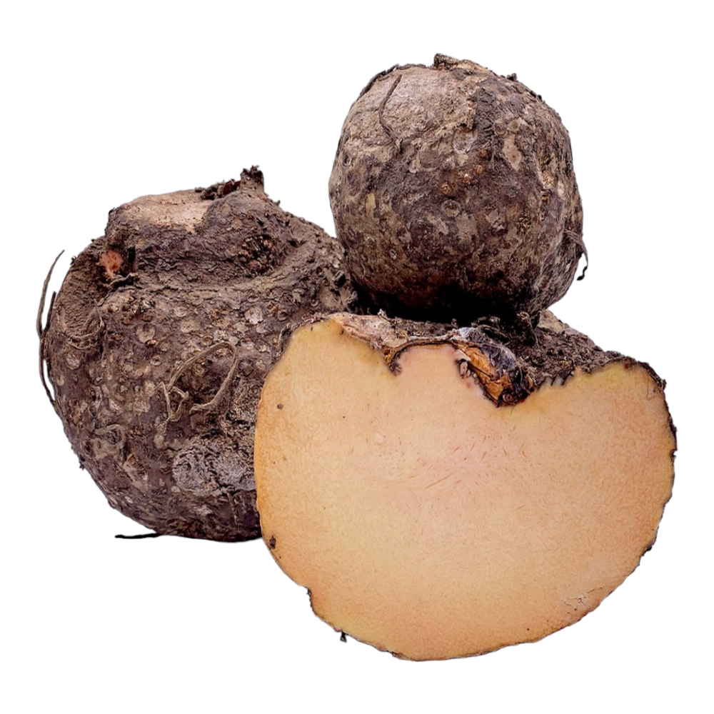 Fresh Yam (Cenai kilanku, Cemaddumma, Cena) – 1 Pack