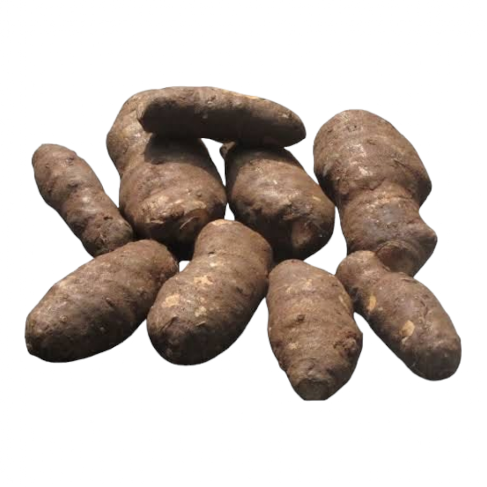 Fresh Taro Root (Ceppankilanku, Cemadu, Cempu) – 1 Pack