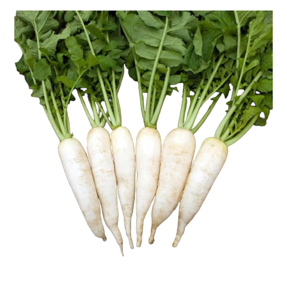 Fresh Radish (Mullanki, Mullangi, Mooli) – 1 Pack