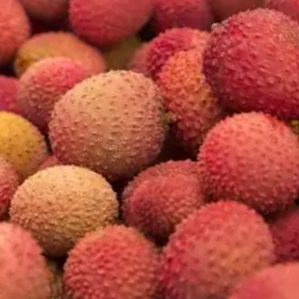 Fresh Lychee (Perikalam, Lichi, Laicci) – 1 Pack