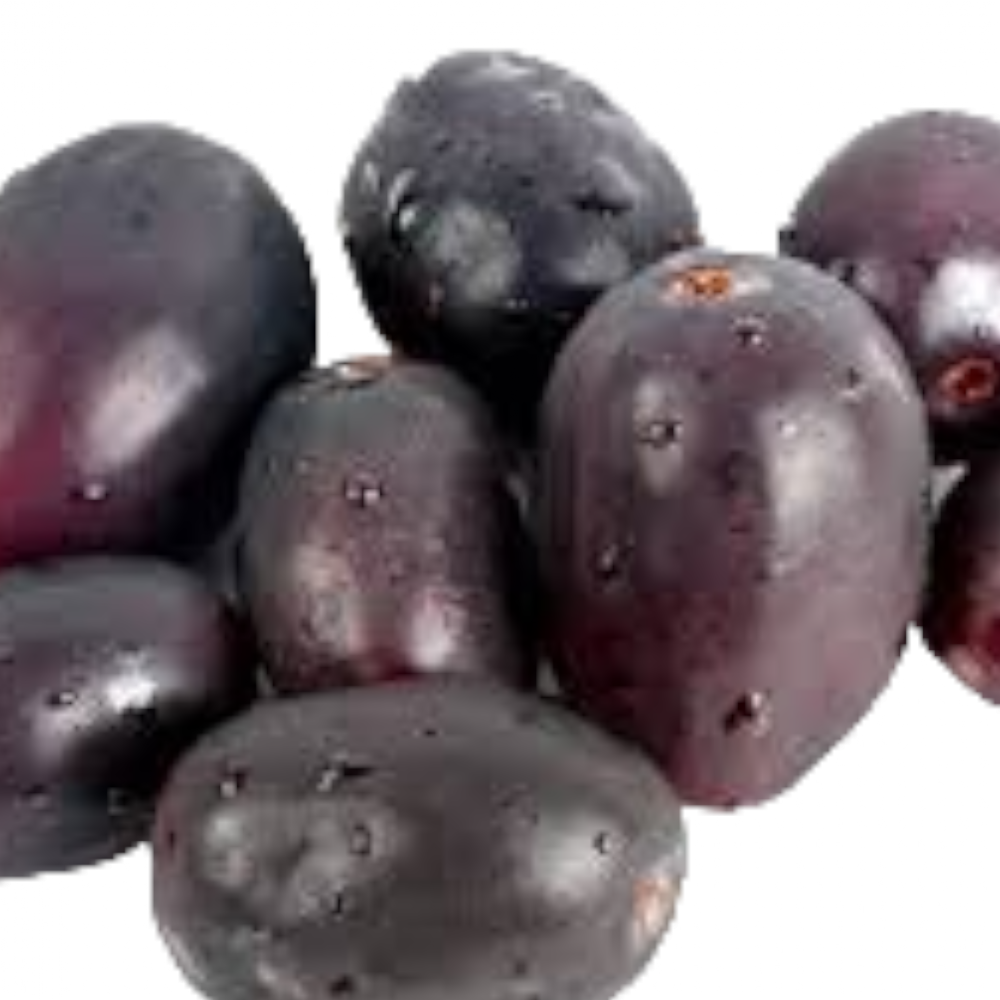Fresh Naval palam (Java Plum, Neredu, Neram) – 1 Pack