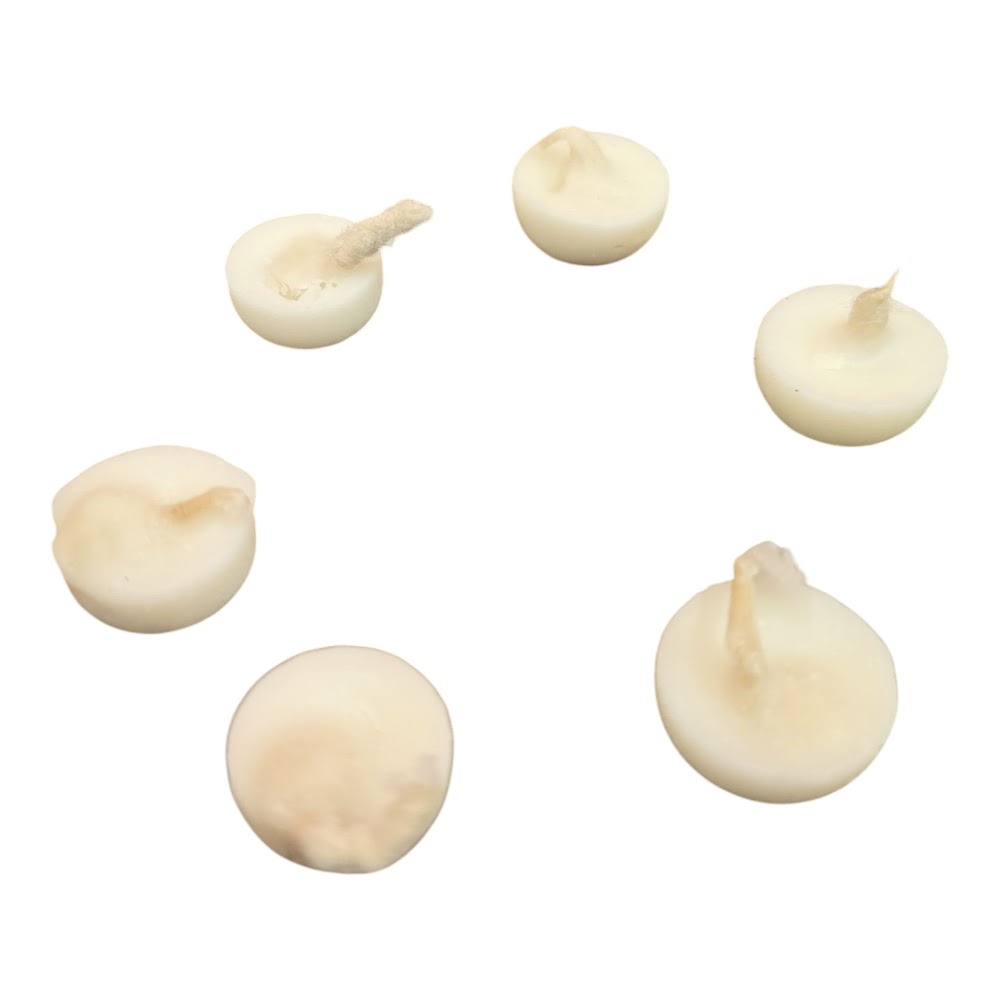 Nei Theepam - Set of 6