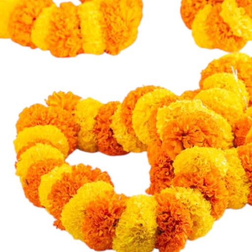 Fresh Marigold Garland 4 Feet - Traditional Floral Decoration for Festivals & Puja