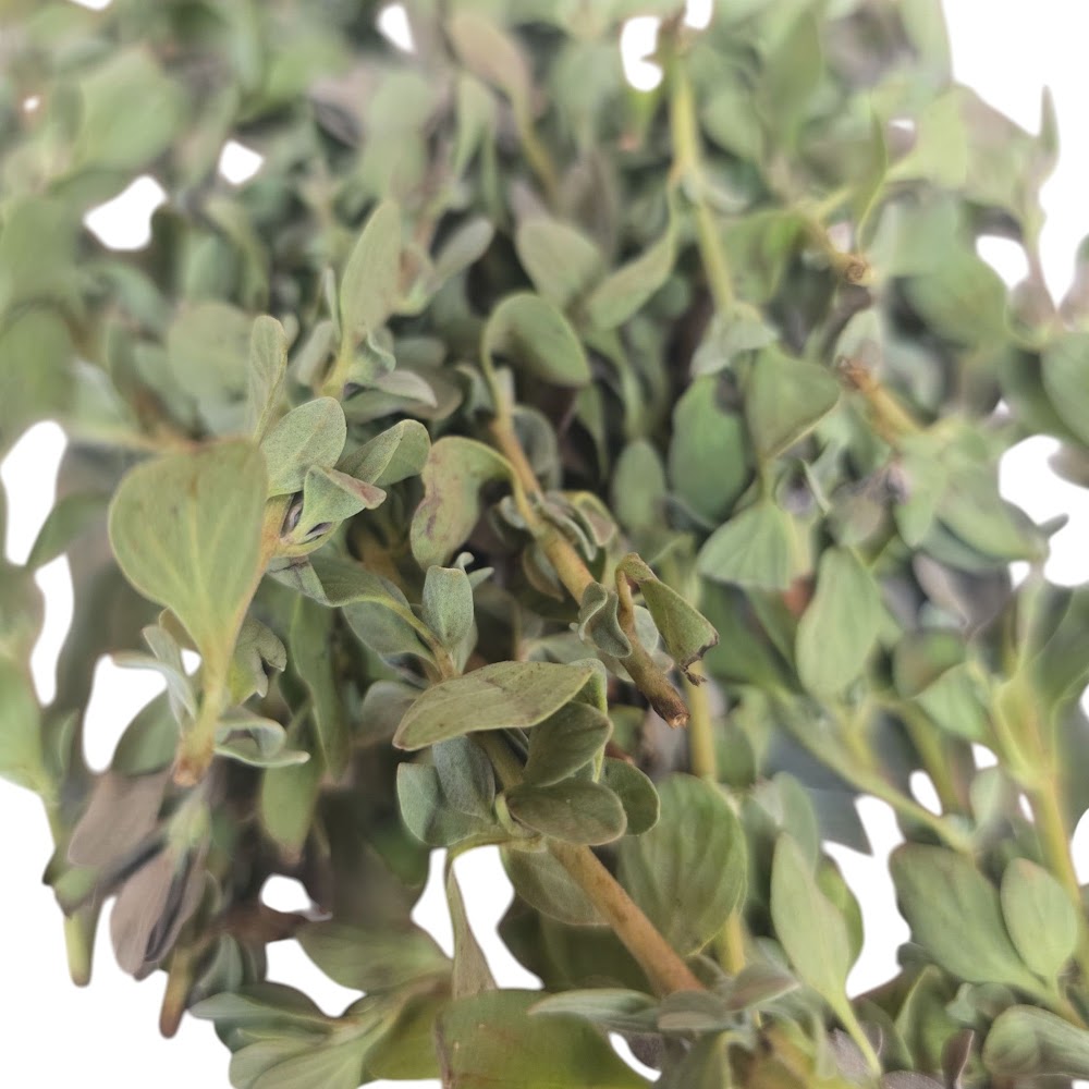 Fresh Thavanam Leaves in Canada | Puja & Sacred Leaves | Sacred Puja Essential