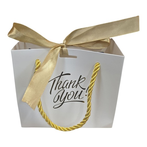 Small Thank You Gift Bag – Elegant Party Favor Bag for All Occasions | Festive Return Gift