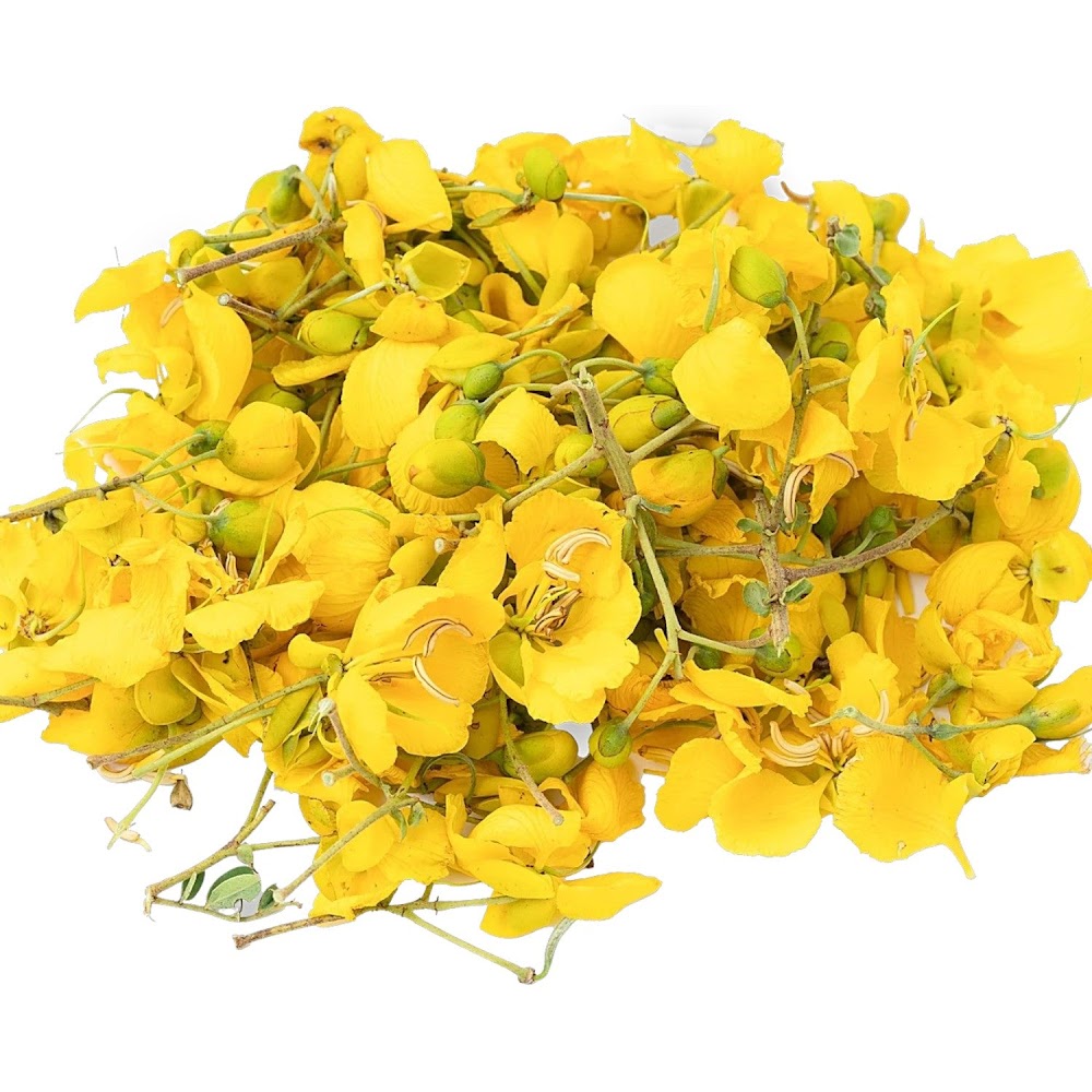 Fresh Avaram Poo in Canada | Puja & Herbal Flowers | Fresh Puja Flowers