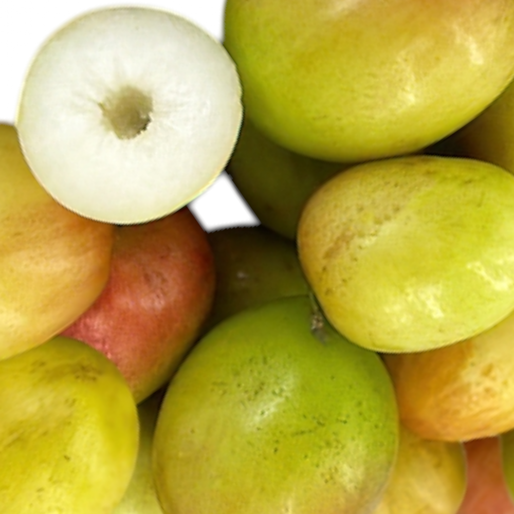 Indian Plum, Jujube, Illantha Pallam, Regi Pandu, Entha, Ber - 1 Pack