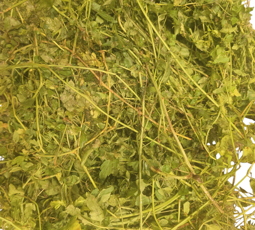 Fresh Balloon Vine (Mudakathan Kirai, Buddisepa, Uzinnikkurinna) – 1 Pack