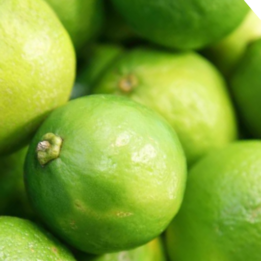 Fresh Green Lime (Elumicchai, Nimmakaya, Naranga) – 5 per pack
