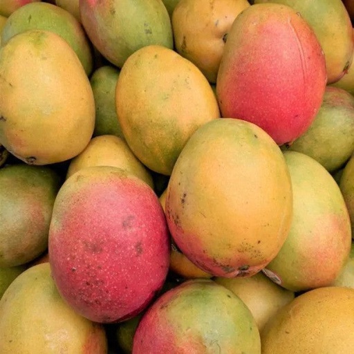 Fresh Haden Mango (Haden Maangai, Haden Mamidi, Haden Maampazham)