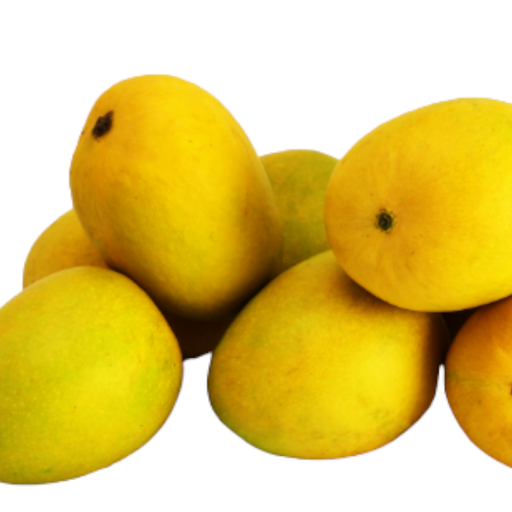 Fresh Kesar Mango – 1 Box