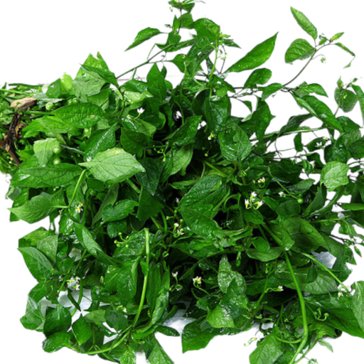 Fresh Black Nightshade leaves (Manathakkali, Kamanchi Chettu, Kakkarimulaku) – 1 Pack
