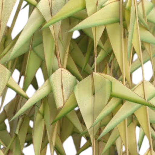 Coconut Palm Leaf Garland, Thennai Ilai Thoranam, Tengin ila Thoranam, Kobbari Akula Thoranam, Nariyal Patton Ka Toran - 4 Each
