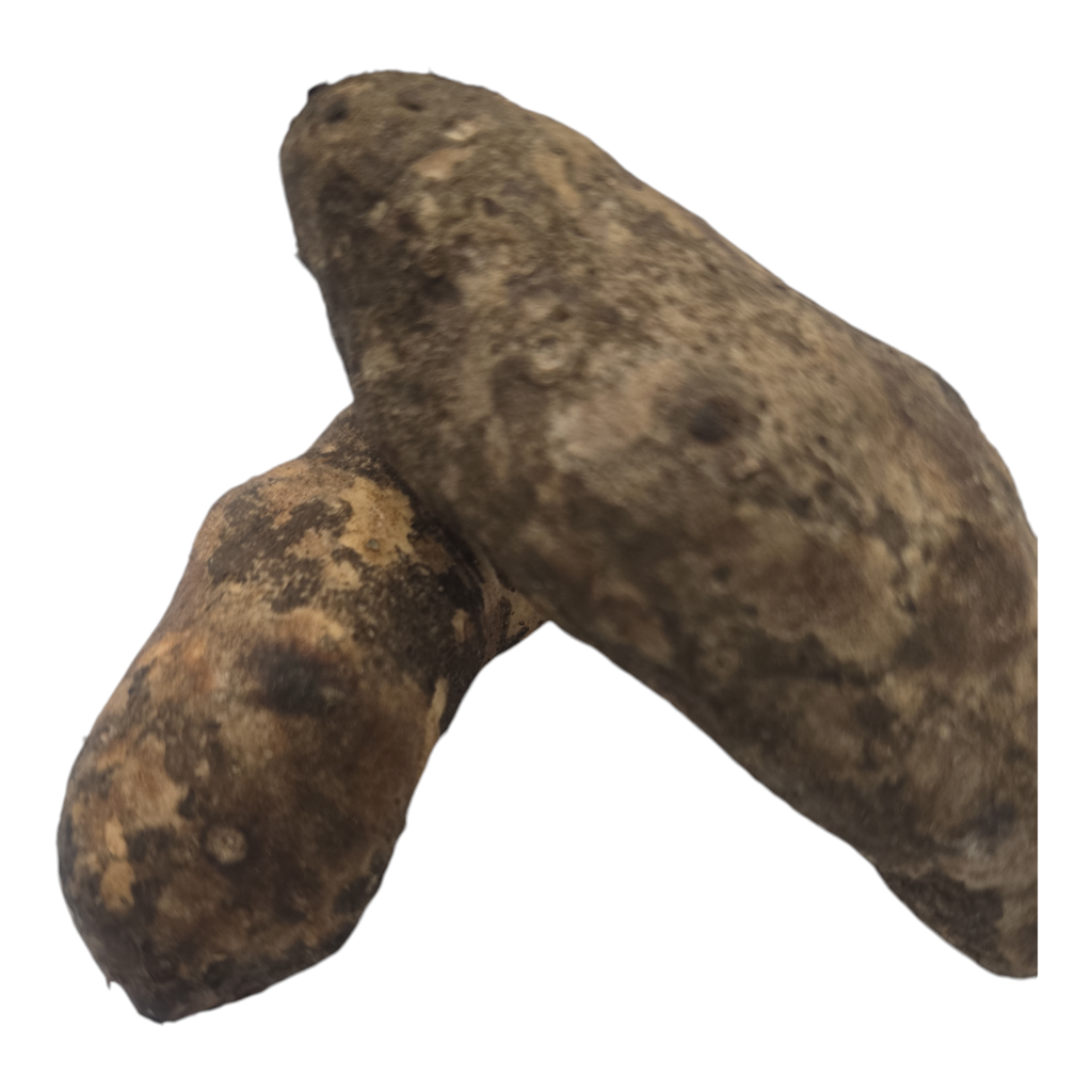 Elephant Foot Yam, Karunai Kilangu, Kanda Gadda, Chena Kilannu, Suran ...