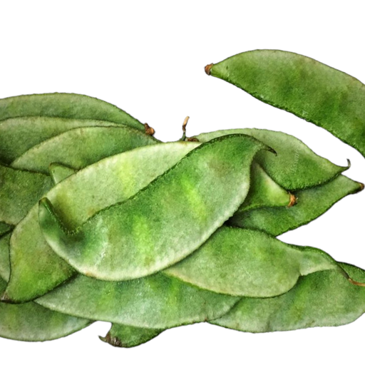 Fresh Broad Beans (Avaraik kai, Anumulla, Anamulla) – 1 Pack