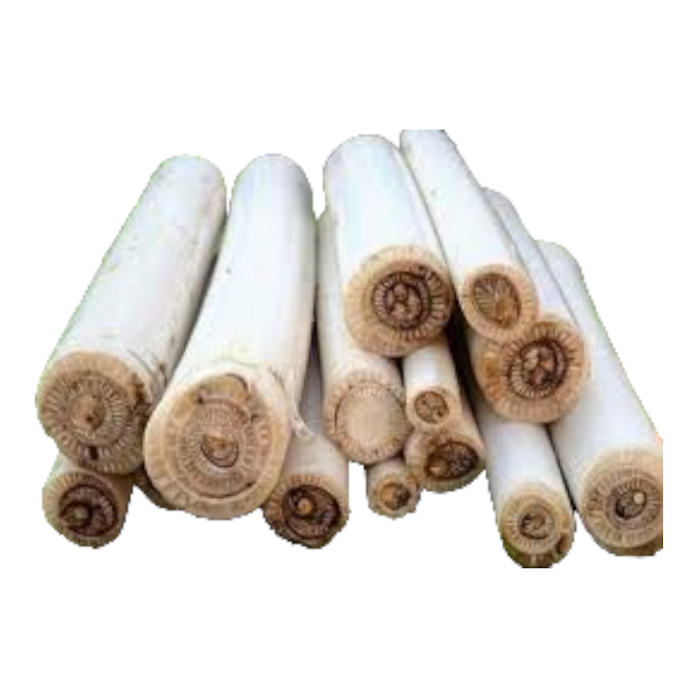 Banana Stem, Valai tantu, Arati tiga, Valappaccha, Kele ka tana - 1 Each