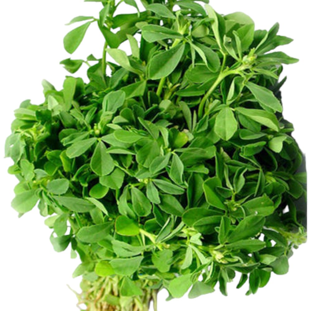 Fenugreek leaves, Vendhaya Keerai, Mentha Koora, Uluva, Methi ke Patte - 1 PK