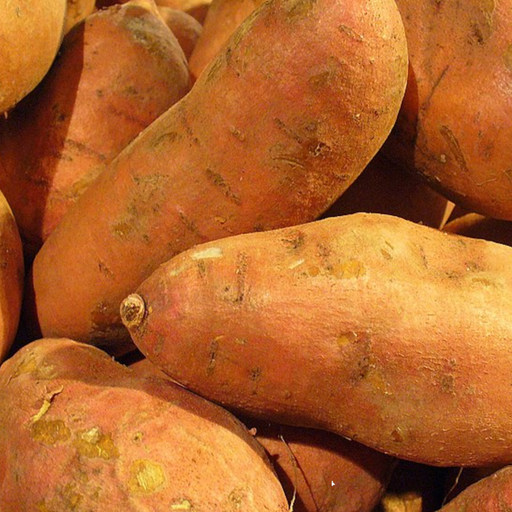 Fresh Sweet Potato (Sarkaraivalai Kilangu, Cilagadadumpa, Chemmachemp) – 1 Pack