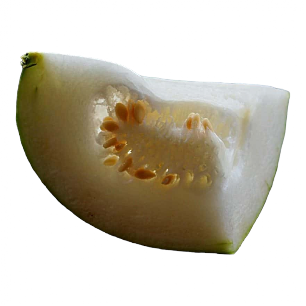 Fresh Ash Gourd (Pusanikkay, Budida gummadikaya, Kumpalanna) – 1 Pack