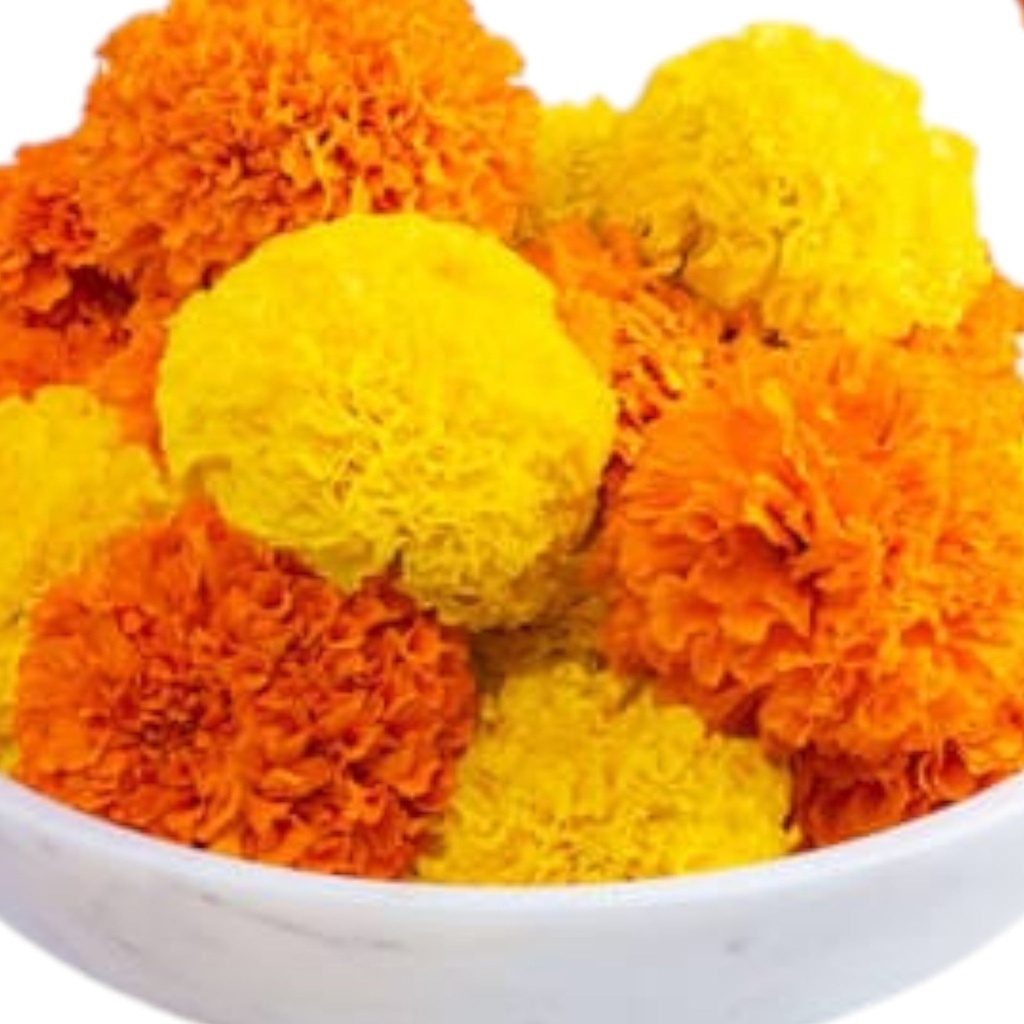 Fresh Marigold Flowers in Canada | Puja & Decoration Flowers