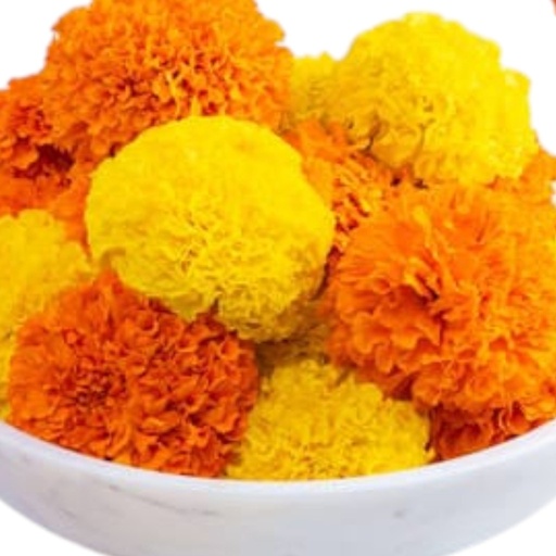 Fresh Marigold Flowers – Vibrant Puja & Decoration