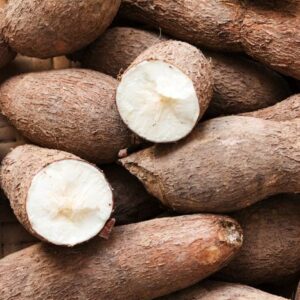 Tapioca – Maravallikkilangu / Kappa / Kasava (1 lb Pack) | Fresh Root Vegetable