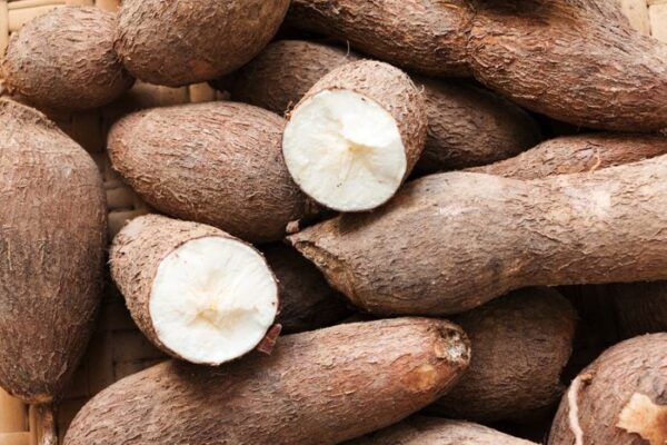 Tapioca – Maravallikkilangu / Kappa / Kasava (1 lb Pack) | Fresh Root Vegetable