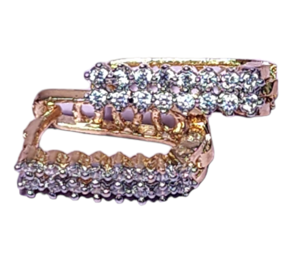 Studs Earrings High Gold Polish Fancy Style AD Stones