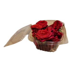 Button Rose Fresh Flower, Roja Pu, Gulabi Puvvu, Ros Puv, Gulab ka Phool