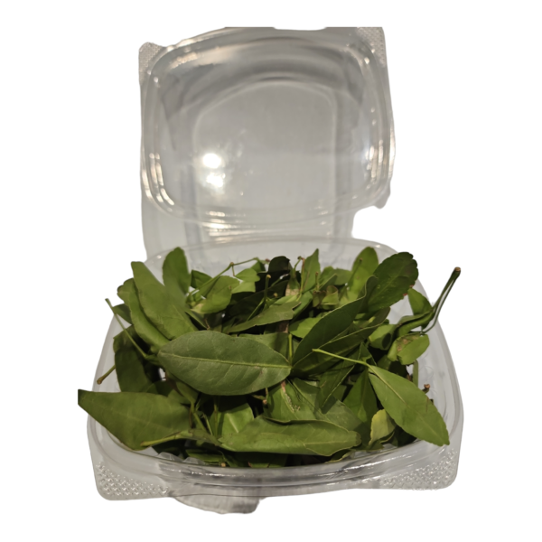 Bilva Leaves, Vilva Ilai, Vilva Aakulu, Vilva ila, Bel Patte