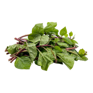 Fresh Malabar Spinach – 1 Bunch | Kodipasalai Keerai | Bacchali Koora