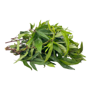 Fresh Sorrel Leaves – 1 Bunch | Gongura | Pulicha Keerai