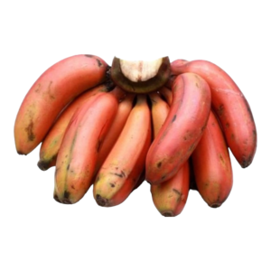 Fresh Red Bananas – 3 Each | Sweet and Creamy Tropical Fruit