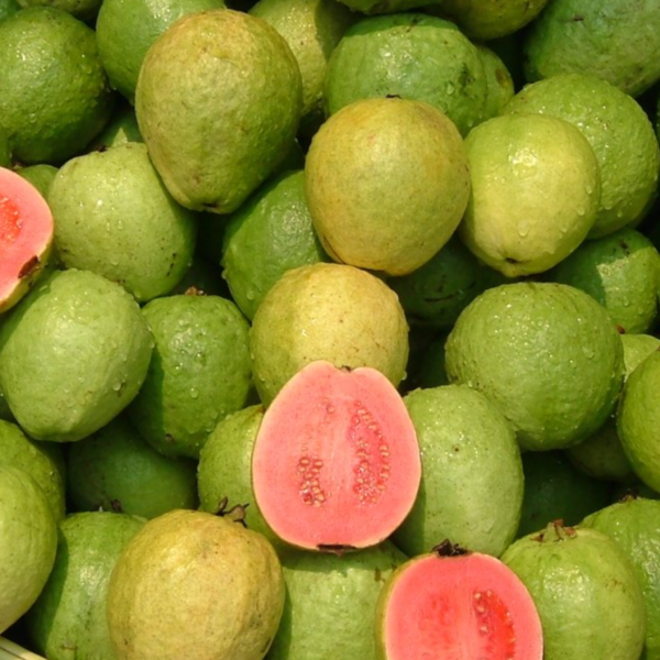 Guava – 1 lb | Sweet and Fragrant Tropical Fruit