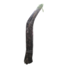 Sugarcane