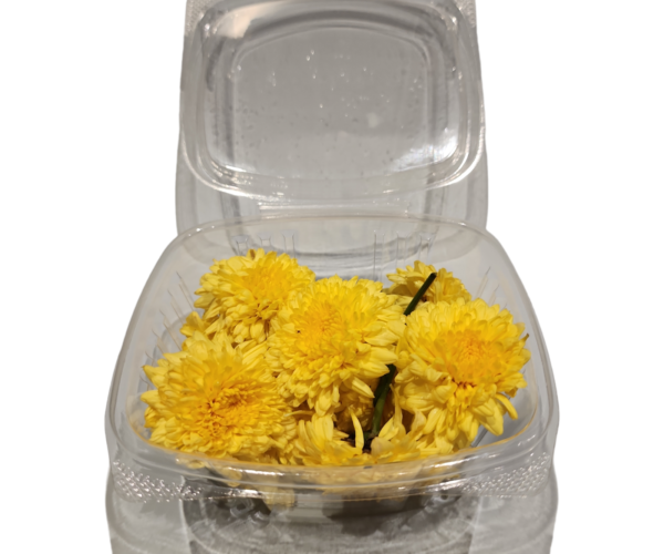 PhotoRoom-20240111-194631.png PhotoRoom-20240111-194631.png