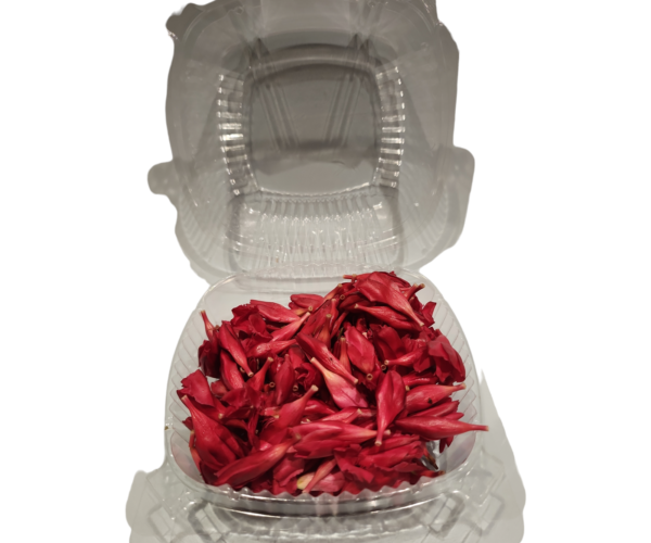 PhotoRoom-20240111-200558.png PhotoRoom-20240111-200558.png