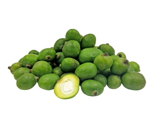 Photoroom-20240326-200841.png Photoroom-20240326-200841.png