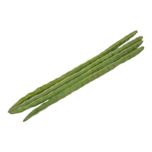 Drumstick – Murungakkai | Fresh Indian Vegetable | 1 lb Pack