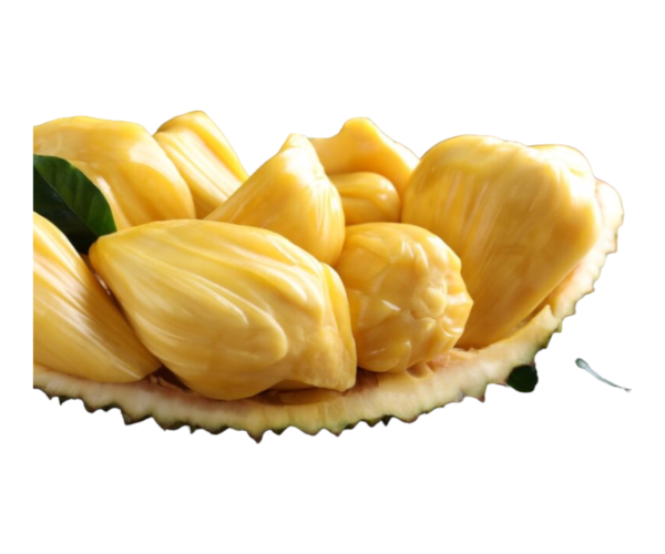 Photoroom-20240326-204114.png Photoroom-20240326-204114.png