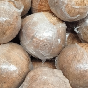 Coconut, Thengaai, Kobbari Kaya, Thenga