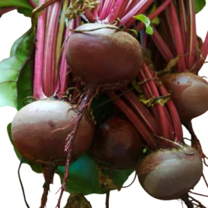 Beetroot, Chukandar 1 Pack