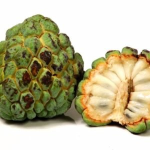 Custard Apple – 1 Each | Fresh Seethapazham Fruit Online