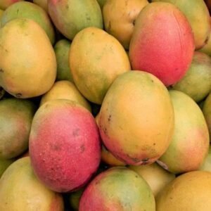 Haden Mango – 9 lb Box | Juicy, Bold & Flavorful Mangoes