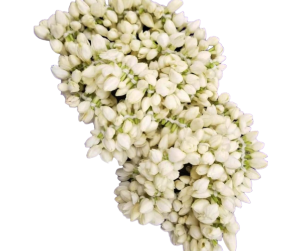 rn-image_picker_lib_temp_181004c4-000f-4ede-82b4-788dce2a7a8c.png rn-image_picker_lib_temp_181004c4-000f-4ede-82b4-788dce2a7a8c.png