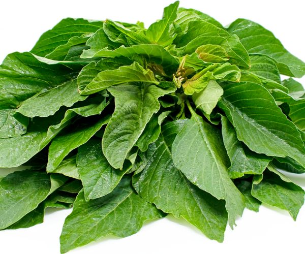 rn-image_picker_lib_temp_5a6df0e3-9126-49c1-807e-6f05a817c87b.png rn-image_picker_lib_temp_5a6df0e3-9126-49c1-807e-6f05a817c87b.png