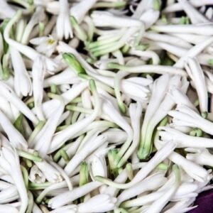 Sampangi Fresh Flower invidual